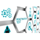 Penetration Testing Penetration Testing