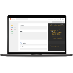 API Penetration Testing