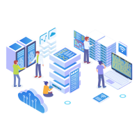 IP Vulnerability Assessment